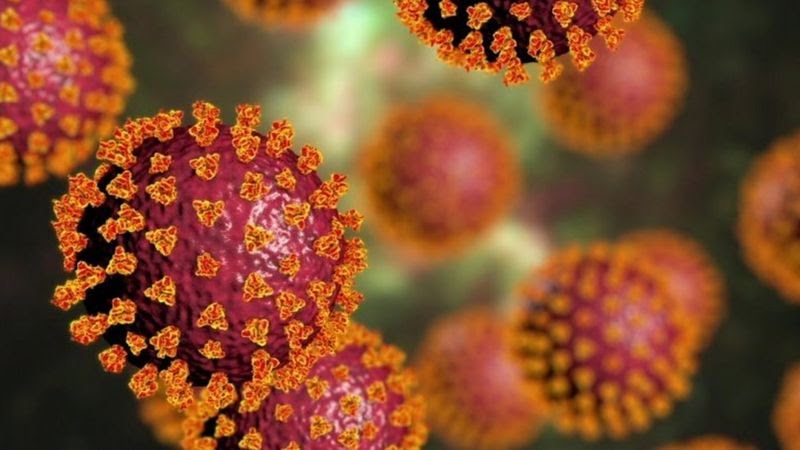 Sespa confirma 9 casos da nova variante em Santarém, Óbidos e Monte Alegre
