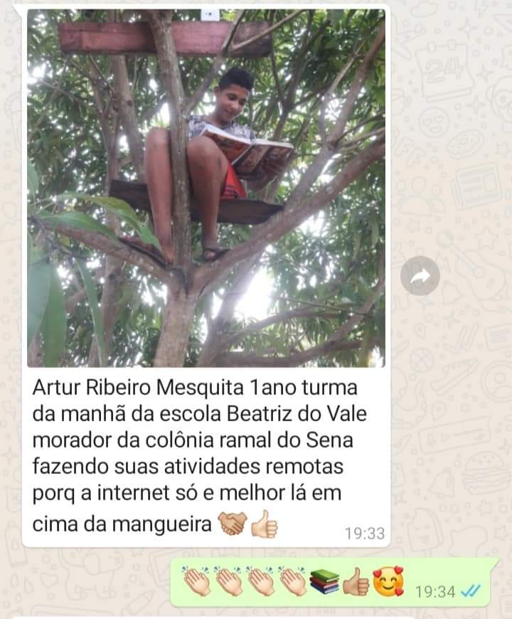 ALUNO ESTUDANDO REMOTAMENTE EM CIMA DA ÁRVORE VIRALIZA NAS REDES SOCIAIS